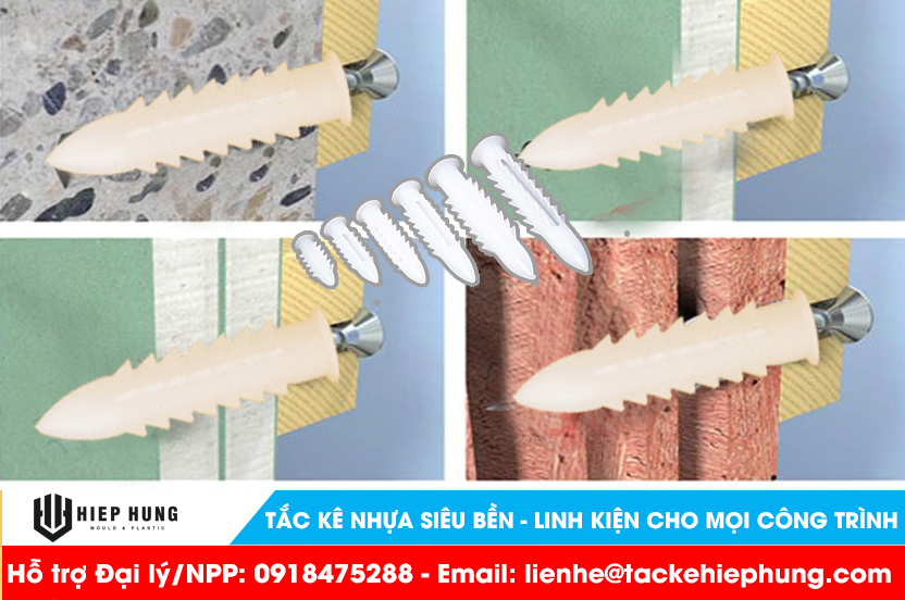 Mua tắc kê lổ dẹp giá rẻ ở đâu