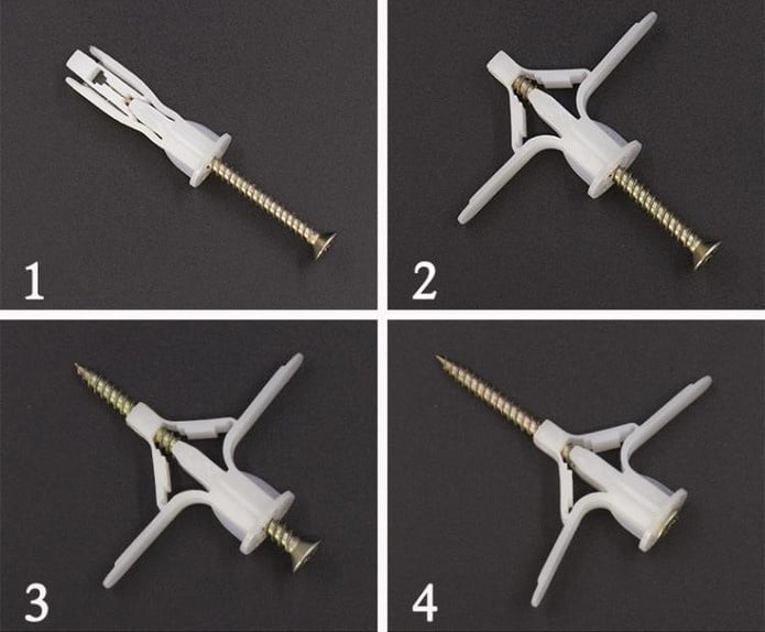 Nơi mua tắc kê bướm giá rẻ tận xưởng